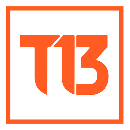 T13